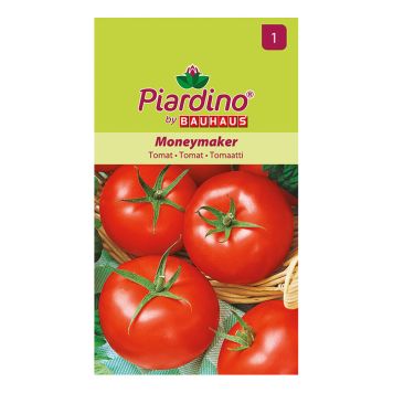 Piardino tomat Moneymaker