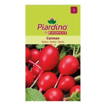 Piardino radise Carmen