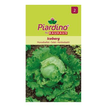 Piardino grøntsagsfrø iceberg salat
