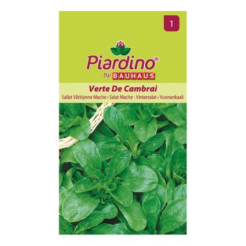 Piardino grøntsagsfrø vintersalat verte de cambrai