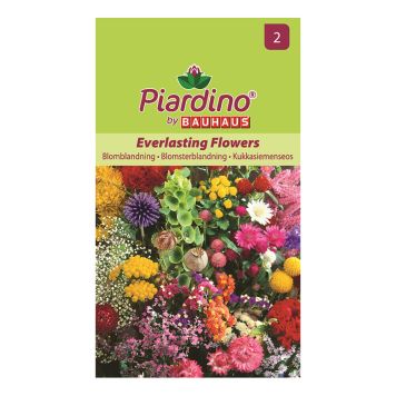 Piardino blomsterfrø Everlasting Flowers blomsterblanding