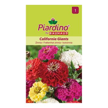 Piardino blomsterfrø frøkenhat Zinna California Giantsmix