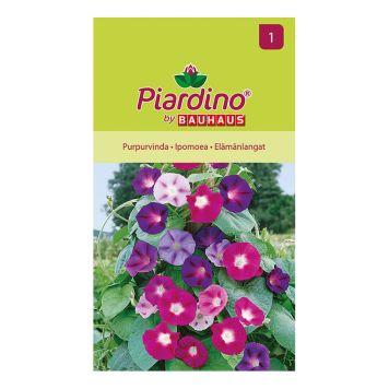 Piardino blomsterfrø ipomoea mix