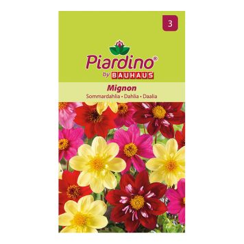 Piardino blomsterfrø dahlia Mignon