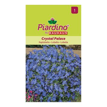 Piardino blomsterfrø lobelia Crystal Palace 