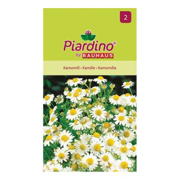 Piardino blomsterfrø kamille