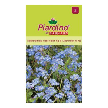 Piardino blomsterfrø forglemmigej Alpine