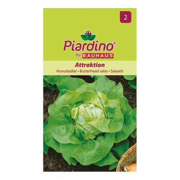 Piardino grøntsagsfrø butterhead salat attraktion