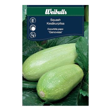 Weibulls grøntsagsfrø squash Genovese