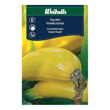 Weibulls grøntsagsfrø squash Gold Rush