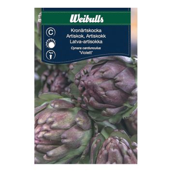 Weibulls grøntsagsfrø artiskok 'Violett'
