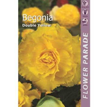 Kapiteyn blomsterløg begonia Double Yellow 1 stk. 