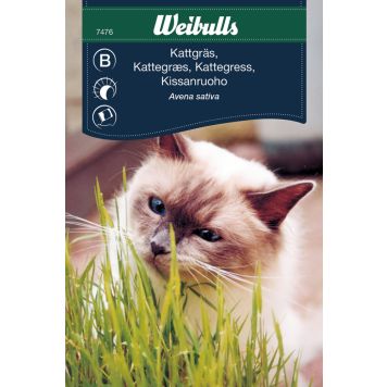 Weibulls græsfrø kattegræs 