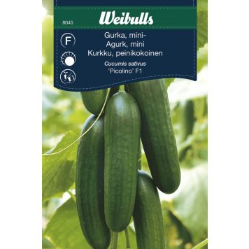 Weibulls grøntsagsfrø agurk snack Picolino 