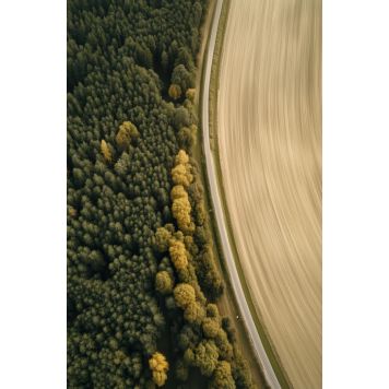 InEx World of Art akustik mark/skov 20x800x1220 mm