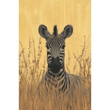 InEx World of Art akustik zebra - flere størrelser