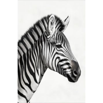 InEx World of Art akustik zebra sort/hvid - flere størrelser