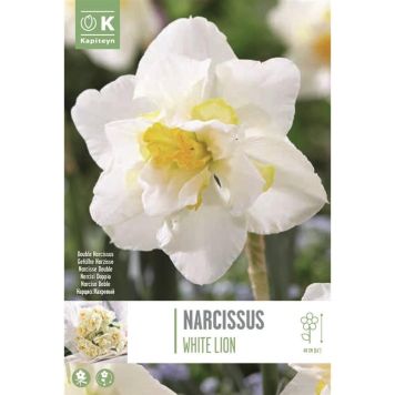 Kapiteyn blomsterløg narcissus White Lion 5 stk. 