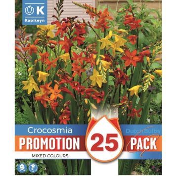 Kapiteyn blomsterløg montbretia mix promo 25 stk.