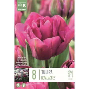 Kapiteyn blomsterløg tulipan Royal Acres 8 stk. 