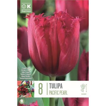 Kapiteyn blomsterløg tulipan Pacific Pearl 8 stk.