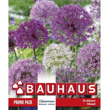 Kapiteyn blomsterløg allium Promo Mix 15 stk. 