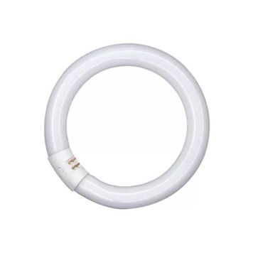 Cirkellysrør 22W G10q - Markslöjd