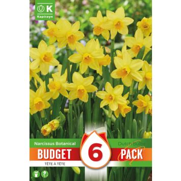 Kapiteyn blomsterløg påskelilje Narcissus tete a tete budget 6 stk. 