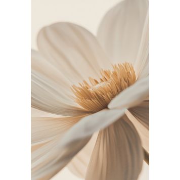 InEx World of Art akustik blomst beige 20x800x1200 mm