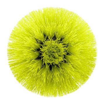 Ryobi medium børste RACLRM110