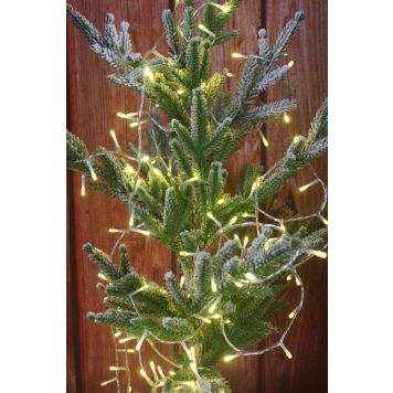 Y-Connection udendørs LED lyskæde varm hvid 50 m