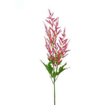 Emerald Astilbe pink 90 cm