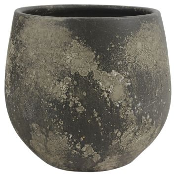 Scan-Pot urtepotteskjuler Feline brun Ø13-23 cm