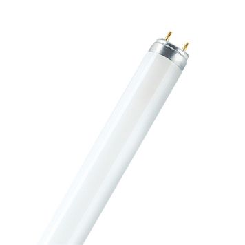 Osram lysrør Lumilux T8 G13 30 W 4000 K 89,5 cm