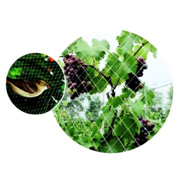 Fuglenet 6x6 m netmasker 25x25 mm - Green>It