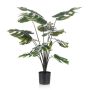 Emerald monstera 80 cm