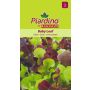 Piardino salat Baby Leaf