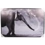 LaFinesse canvas Elephant 60x90 cm m/ramme