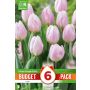 Kapiteyn blomsterløg tulipan Single Early Pink budget 6 stk. 