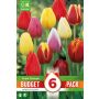 Kapiteyn blomsterløg tulipan Triumph Mixed Colour budget 6 stk. 