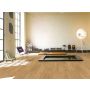 Parador vinylgulv Basic 5.3 eg natur 1209x225x5,3 mm 2,17 m²