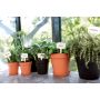 Elho urtepotte Green Basics Growpot grøn 30 cm
