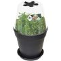 Elho plantehus Green Basics Grow House Round klar Ø17 cm
