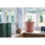 Elho plantehus Green Basics Grow House Round klar Ø17 cm