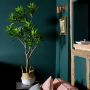Emerald Dracaena med potte 130 cm
