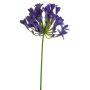 Emerald kunstig blomst Agapantus blå 75 cm