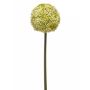 Emerald kunstig snitblomst Allium hvid 75 cm