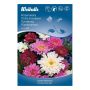 Weibulls blomsterfrø Double Click Mix
