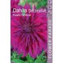 Kapiteyn blomsterløg dahlia Decorativ Purple 1 stk.