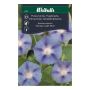 Weibulls blomsterfrø tragtsnerle Dacapo Light Blue